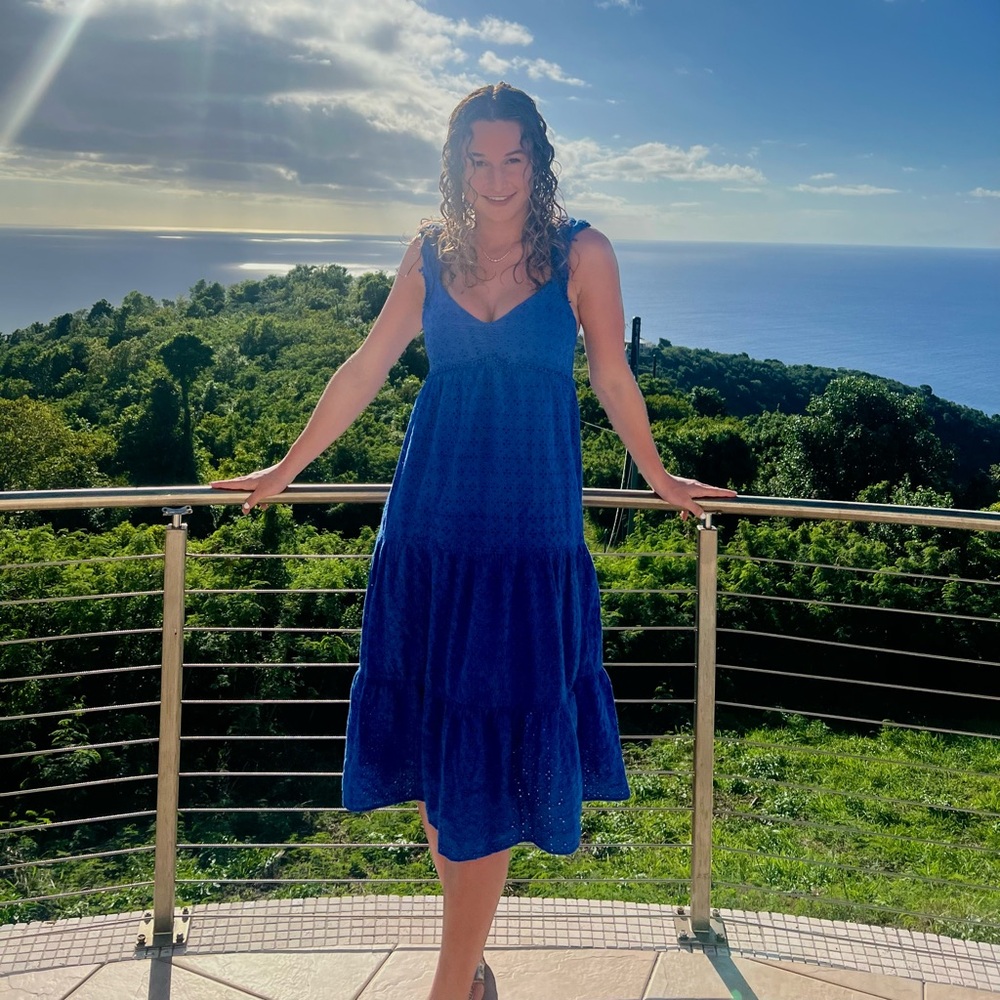 Zara maxi dress